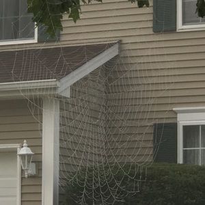 Meet your Posher, Ron